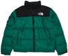 Main Product Shot: Model wearing the green Supreme x The North Face Nuptse puffer jacket outdoors.